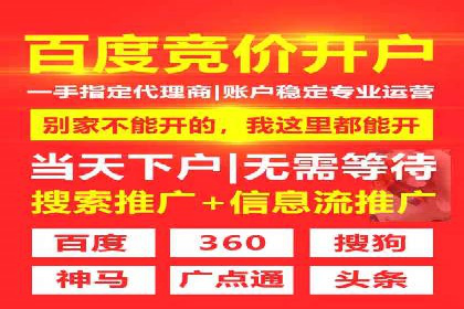 行业领先的SEM投放效果案例解析